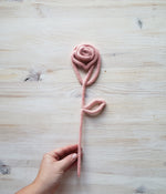 Rose sur tige